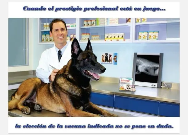 Hospital Veterinario Orejas — foto 2 de 5