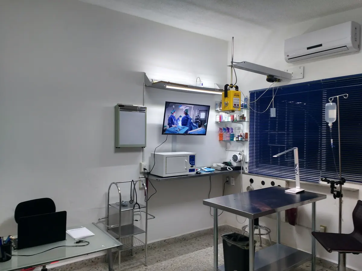 Vet Smart Cuernavaca diagnóstico y cirugía veterinaria
