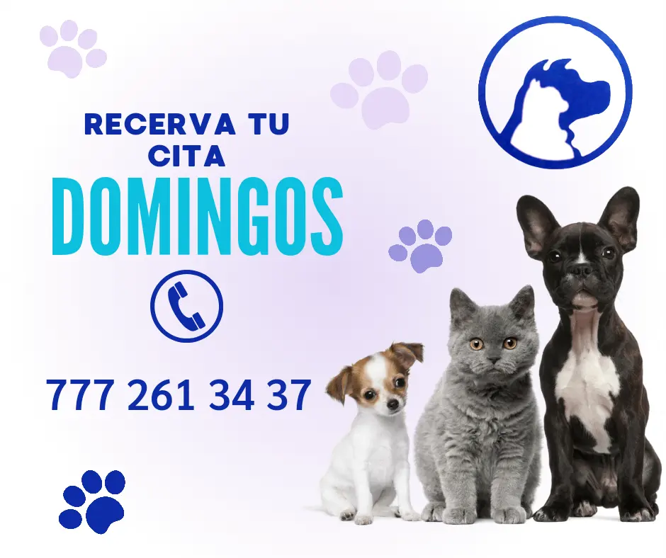Veterinaria La Selva