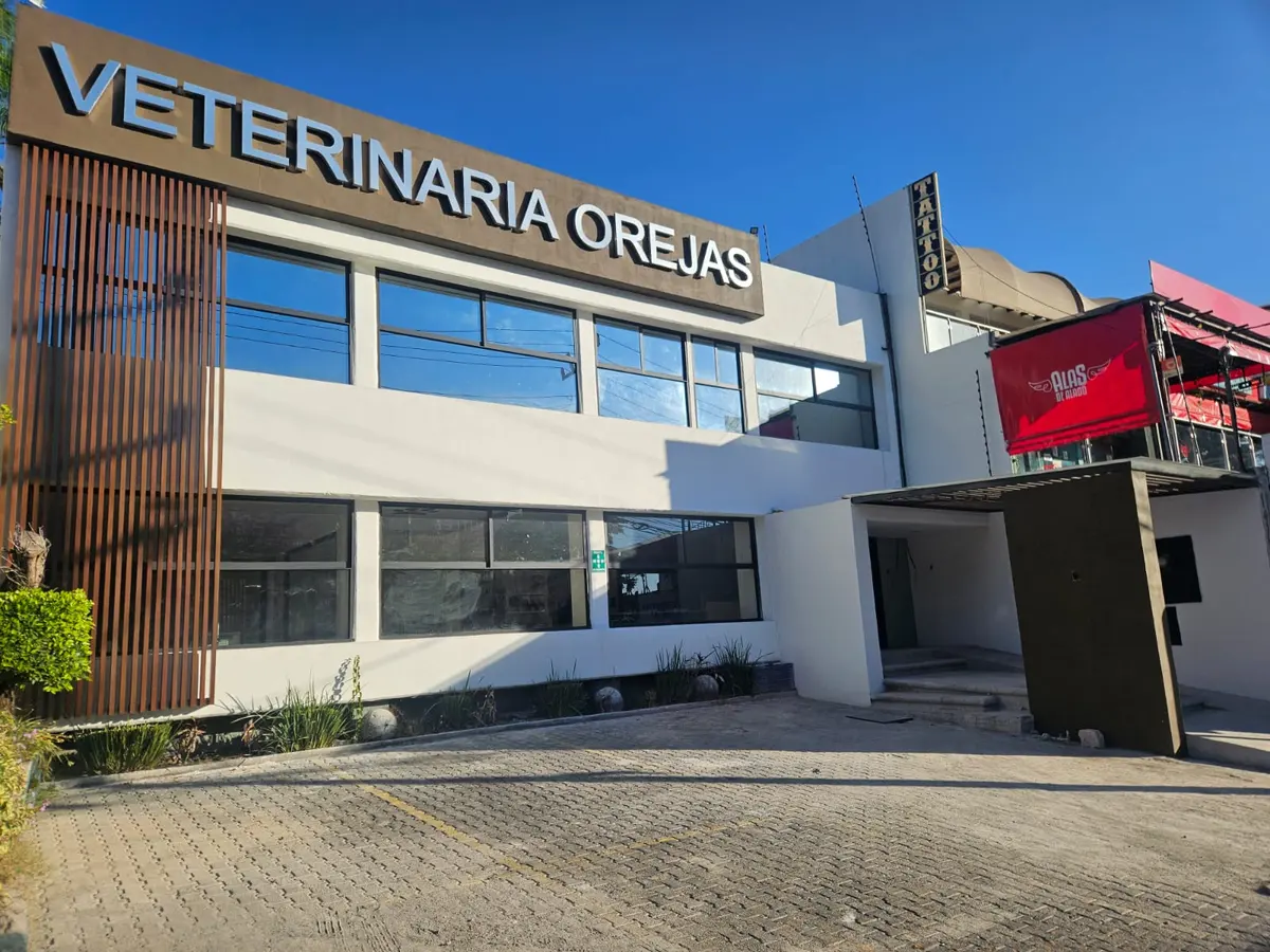 Veterinaria Orejas — foto 3 de 3