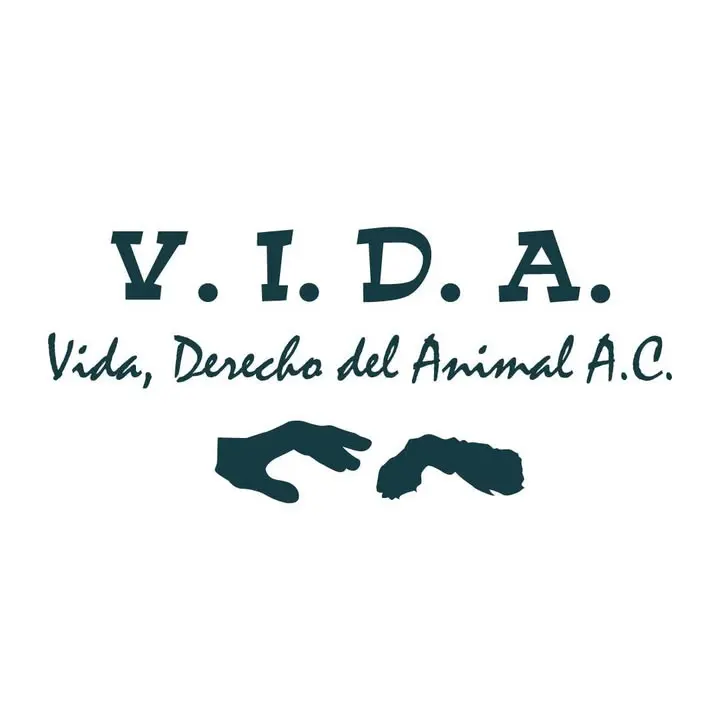 Vida Derecho del Animal A.C.