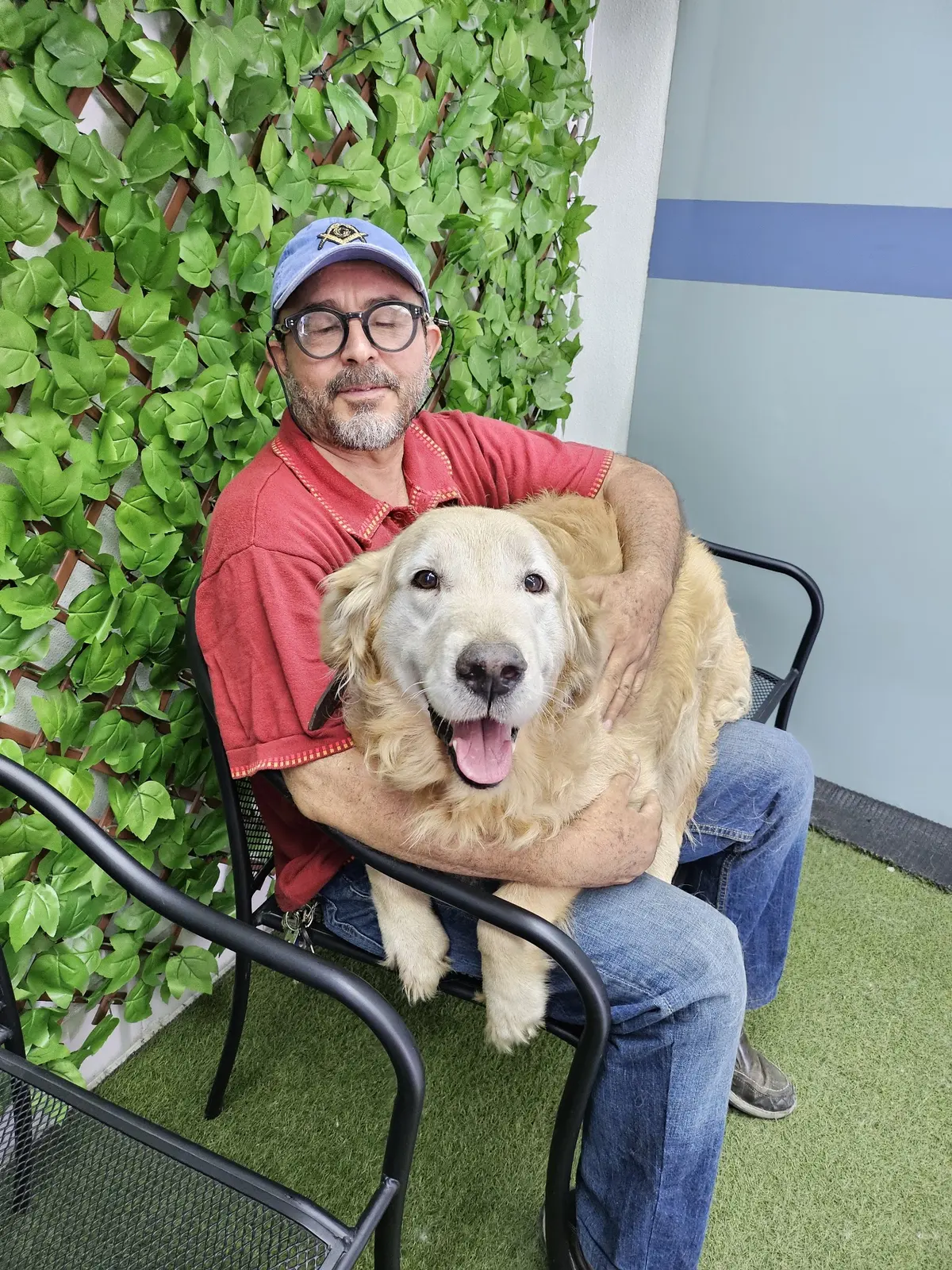 Hospital Veterinario Morelos