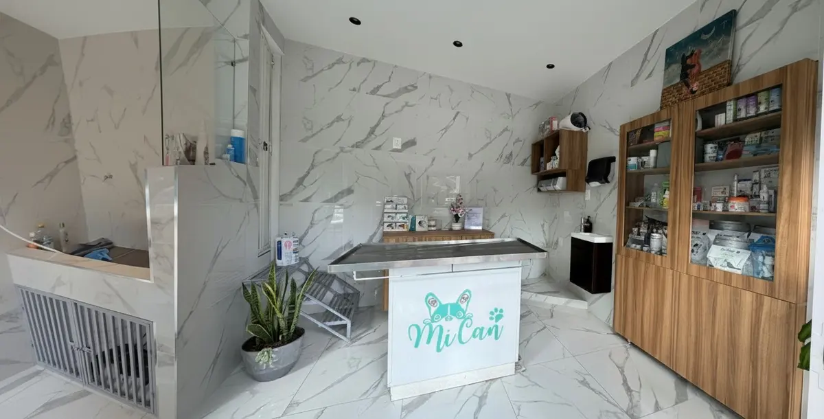 Mi Can - Veterinaria y Estética Canina | Cuernavaca — foto 3 de 4