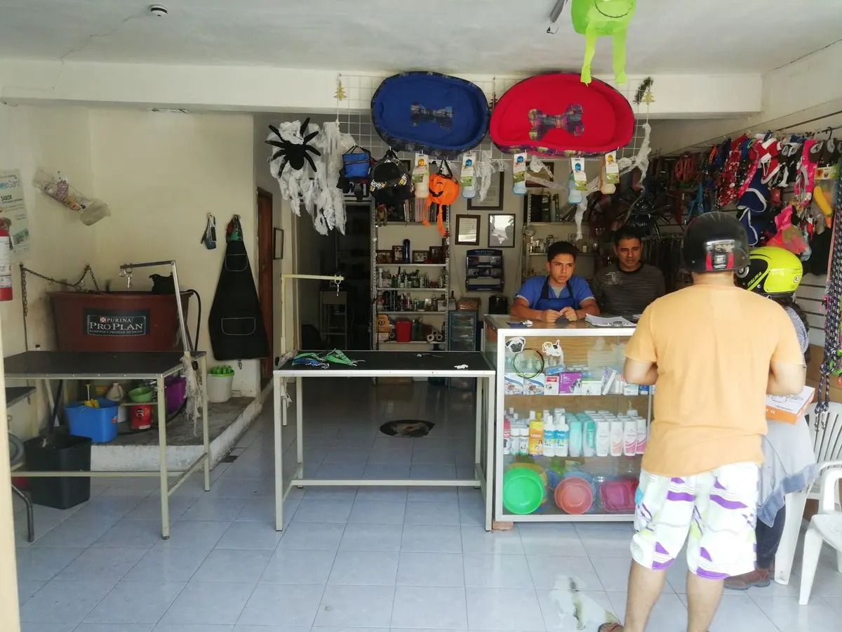 Veterinaria Max
