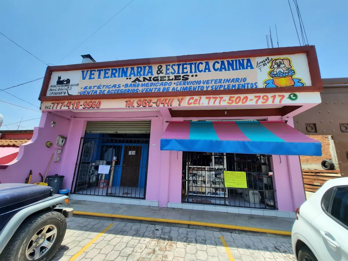 Estética Canina Angeles