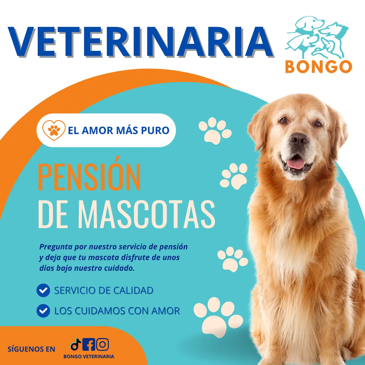 Veterinaria Bongo — foto 3 de 3
