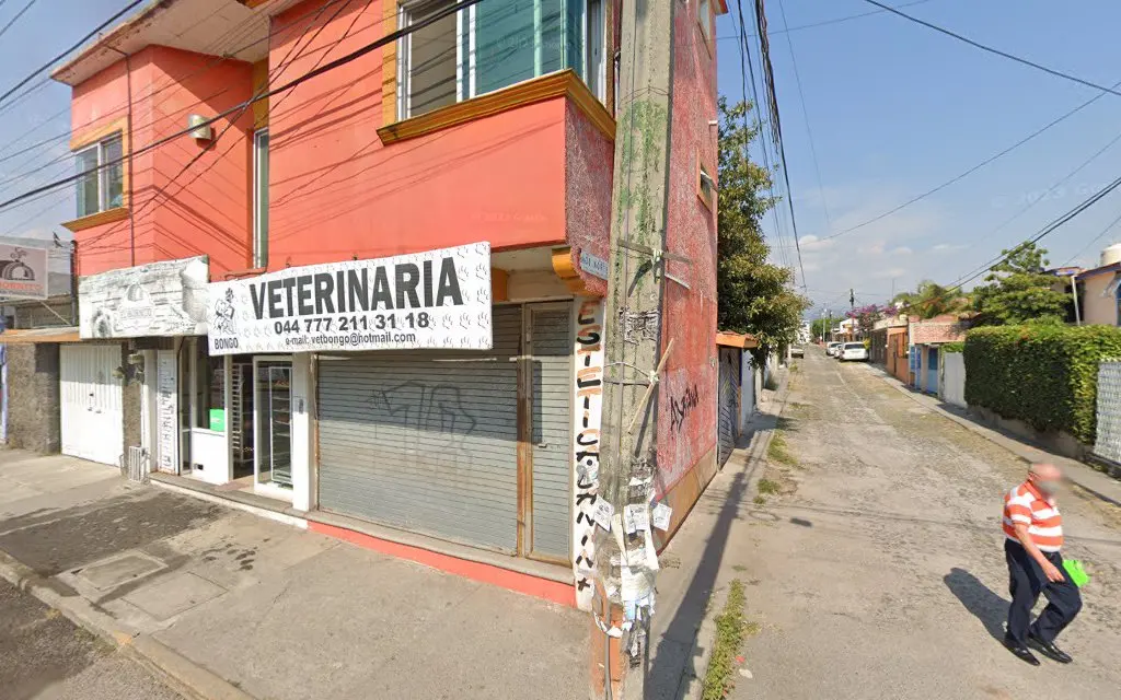 Veterinaria Bongo