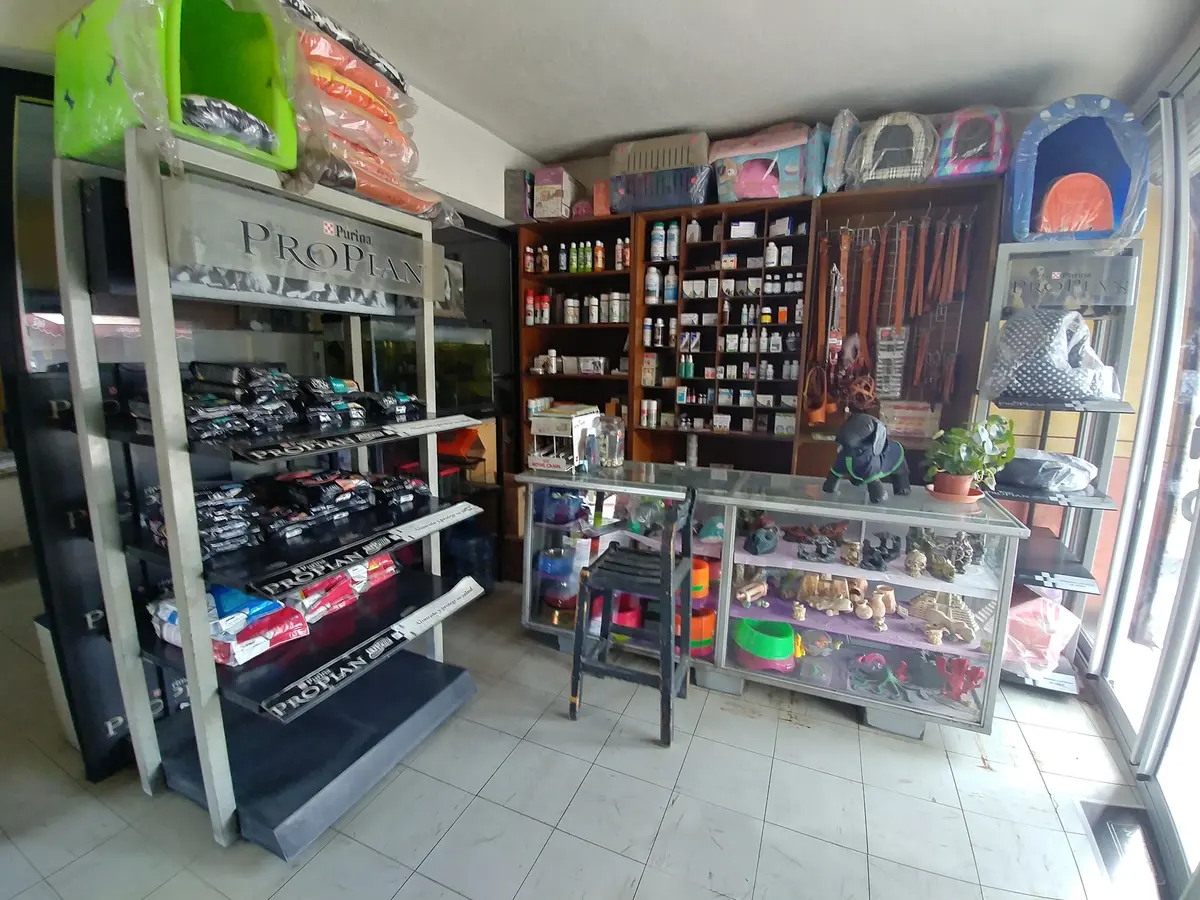 Veterinaria COMEVET