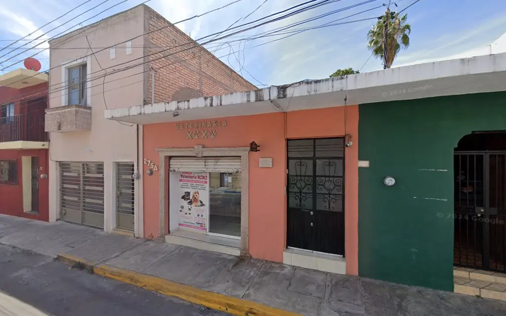 Clínica Veterinaria Xoxo