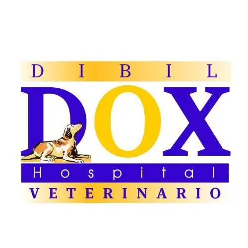 Hospital Veterinario DibilDox