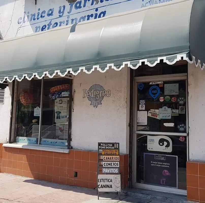 Veterinaria de la ciudad