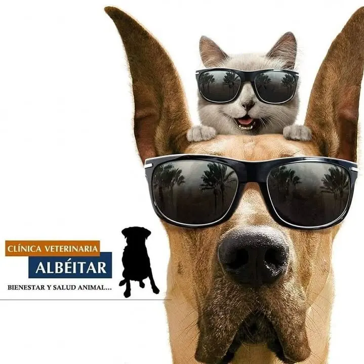 Clínica Veterinaria Albéitar