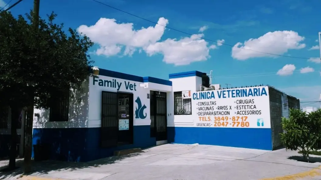 Family Vet