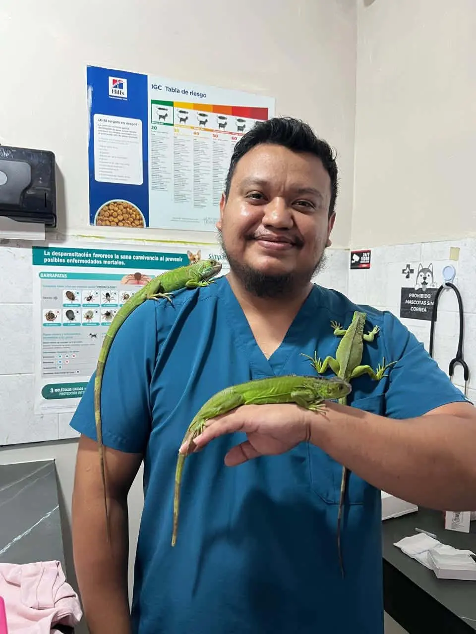 Veterinaria Animal House
