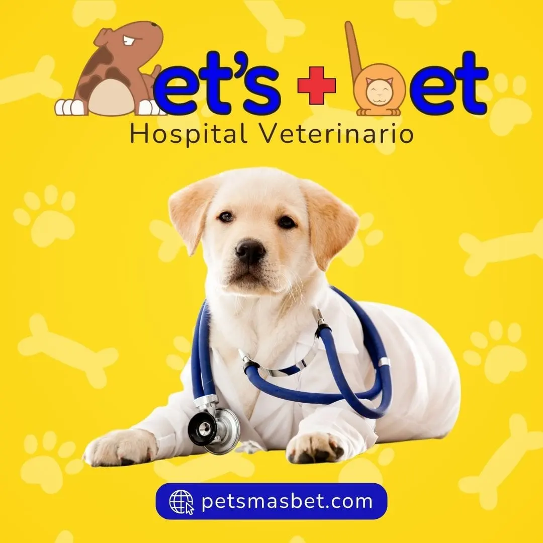 Veterinaria Pets Mas Bet