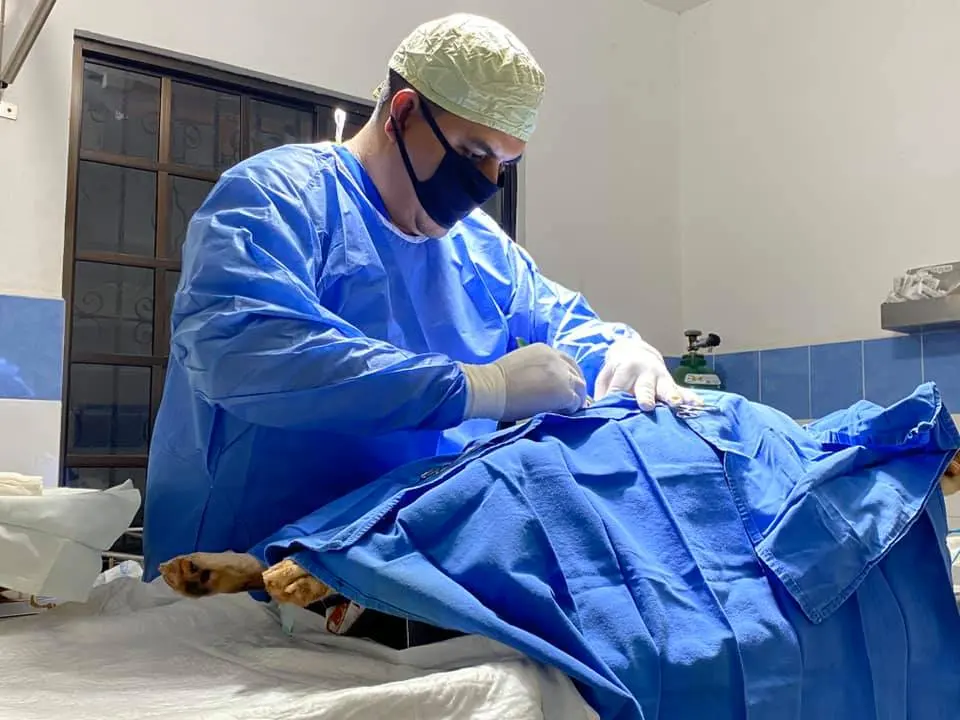 Hospital Veterinario HEGA