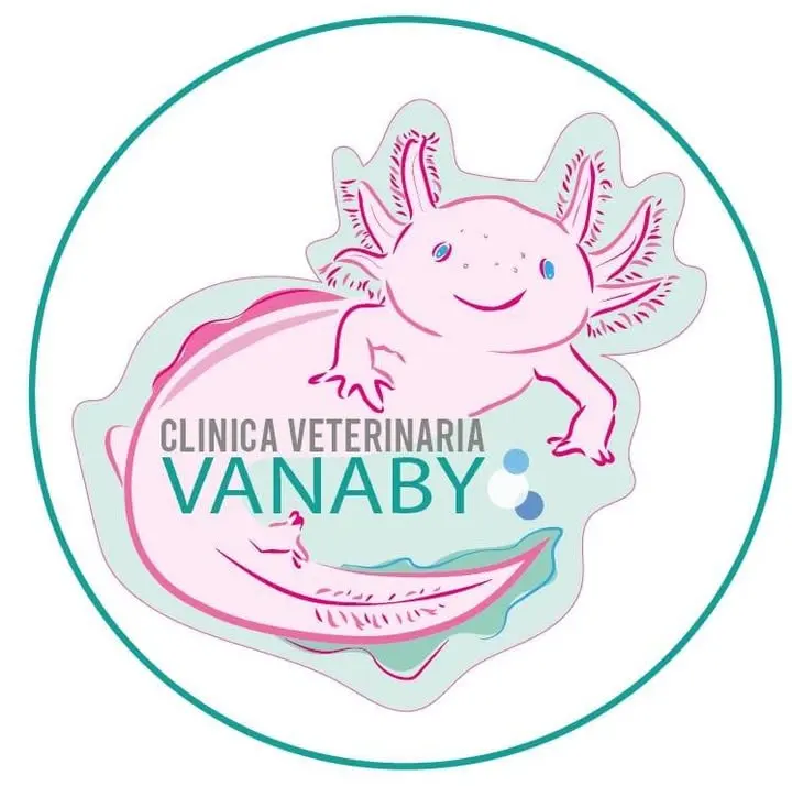 Vanaby Veterinaria