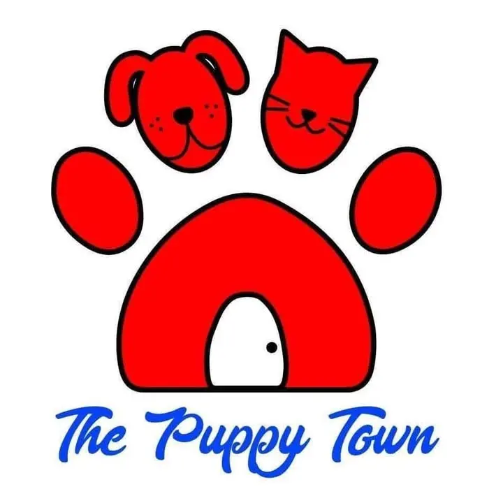 Veterinaria the puppy TOWN