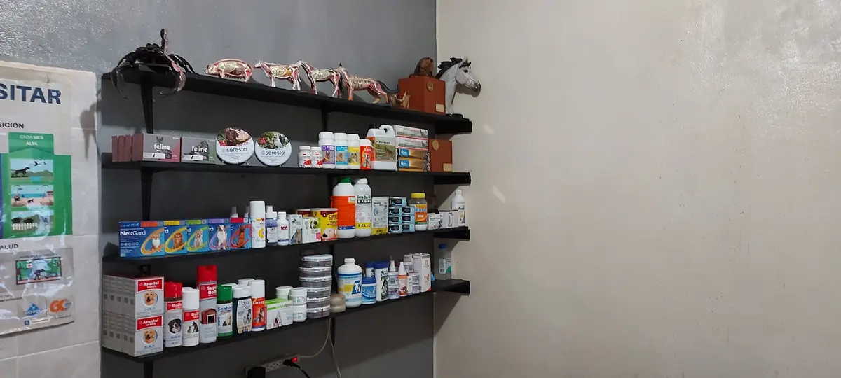 Clinica Veterinaria Villarreal