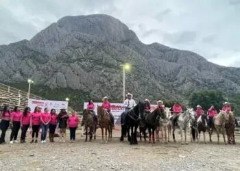 Antirrabico Santa Catarina — foto 3 de 4