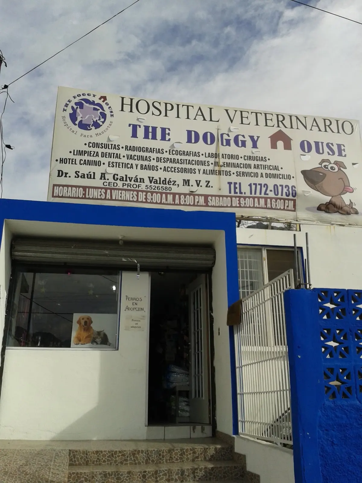 THE DOGGY HOUSE