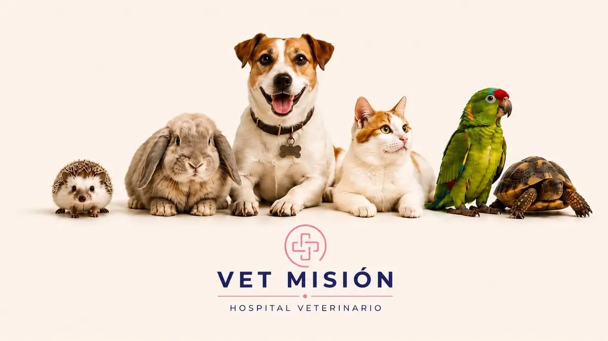 Vet Mision 24/7