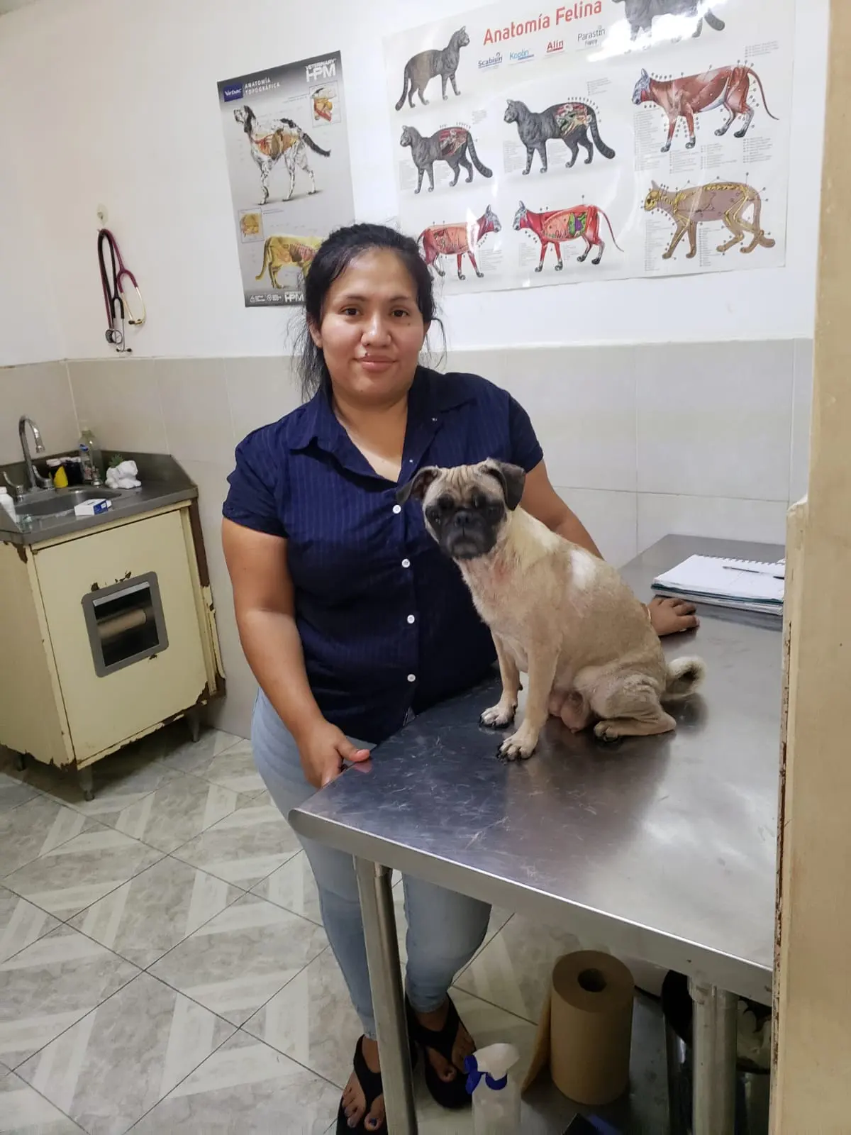 Veterinaria Triga — foto 2 de 3