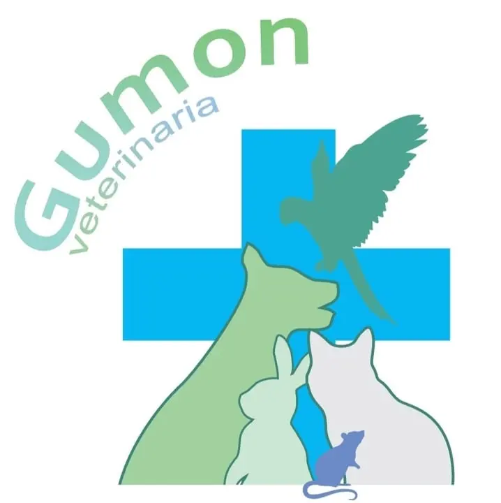 Clinica veterinaria GuMon