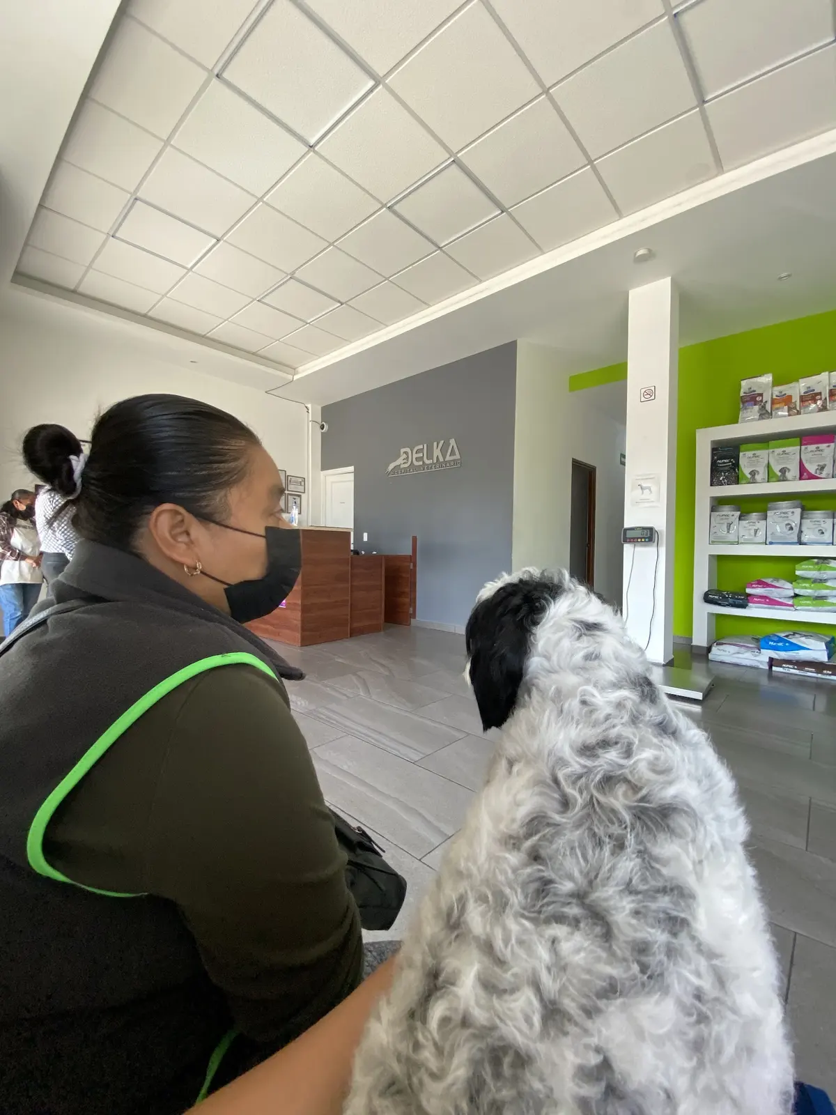 DELKA Hospital Veterinario — foto 3 de 3