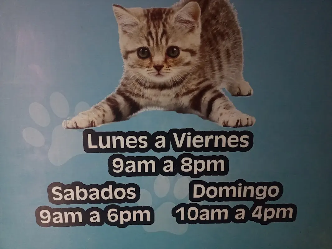 Veterinaria Vida Animal