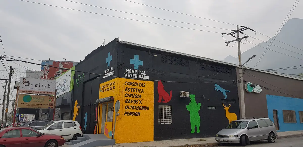 Hospital Veterinario Dr. Ravello