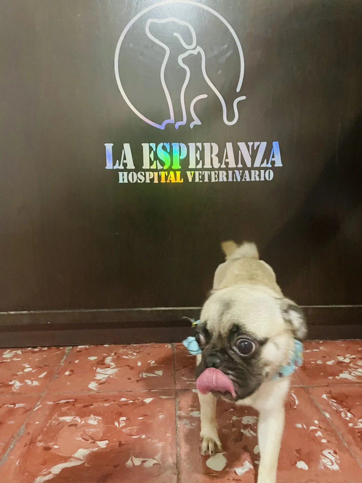 Veterinaria La Esperanza