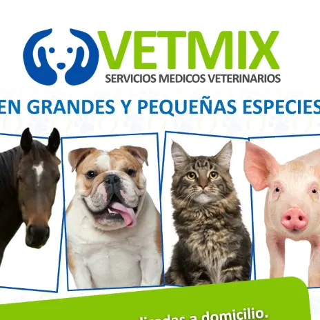 Veterinaria VETMIX