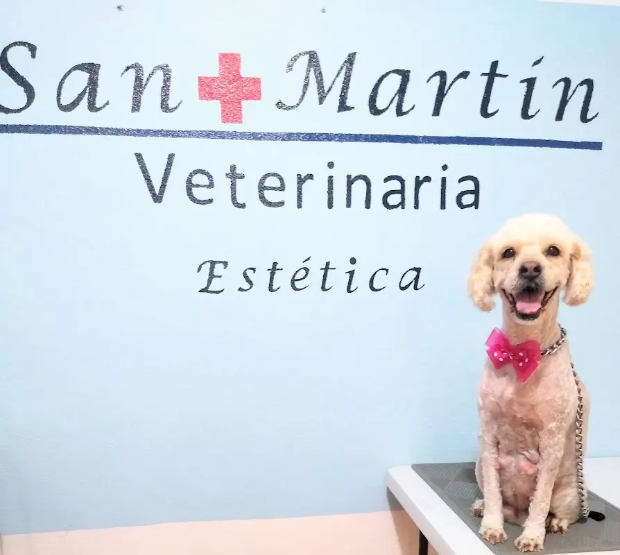 Veterinaria San Martín