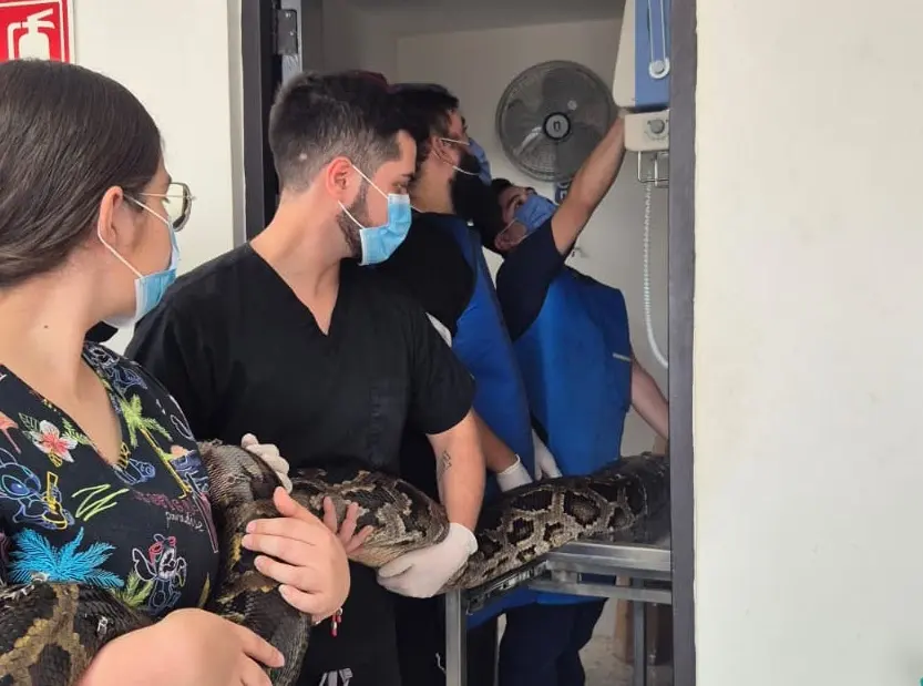 Acutus Medicina Veterinaria — foto 3 de 3