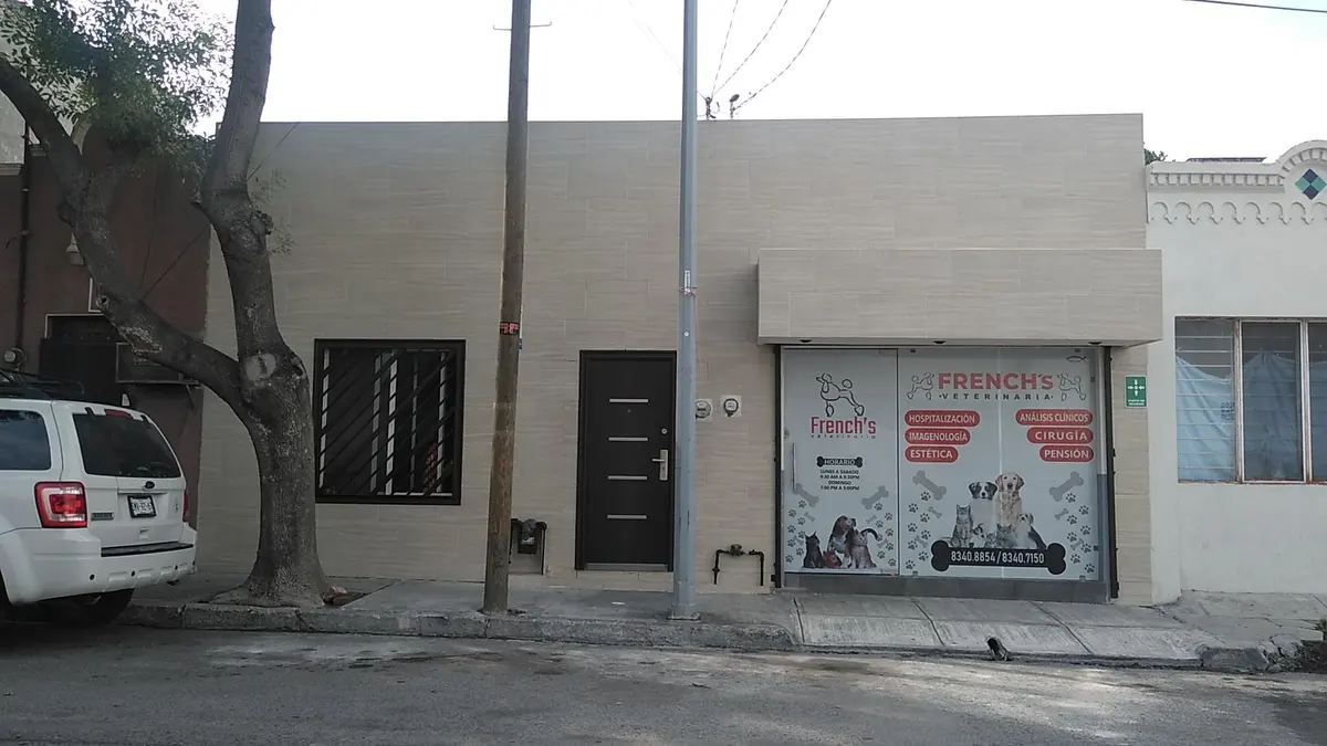 CLÍNICA VETERINARIA FRENCH'S — foto 3 de 3