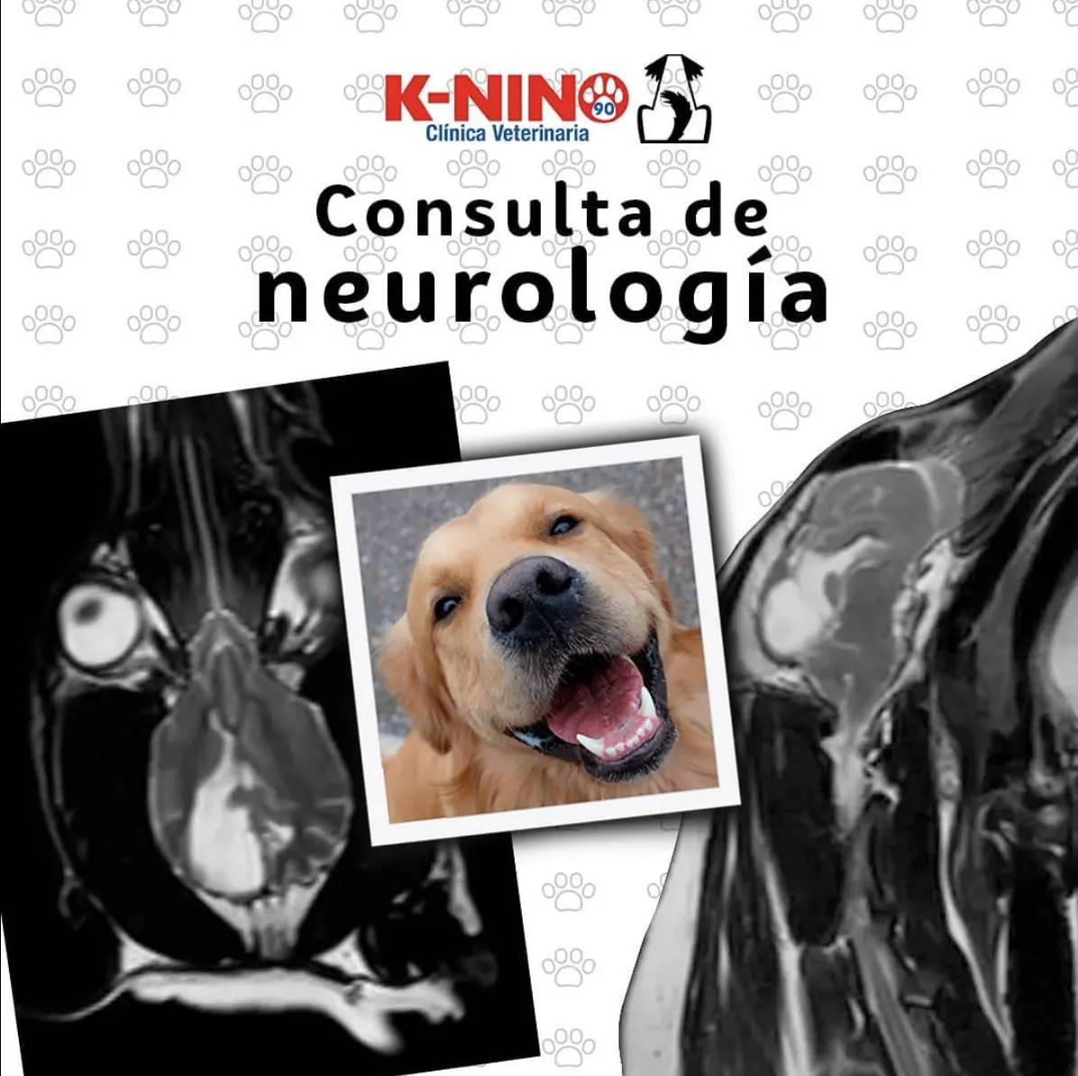 Clínica Veterinaria K-NINO