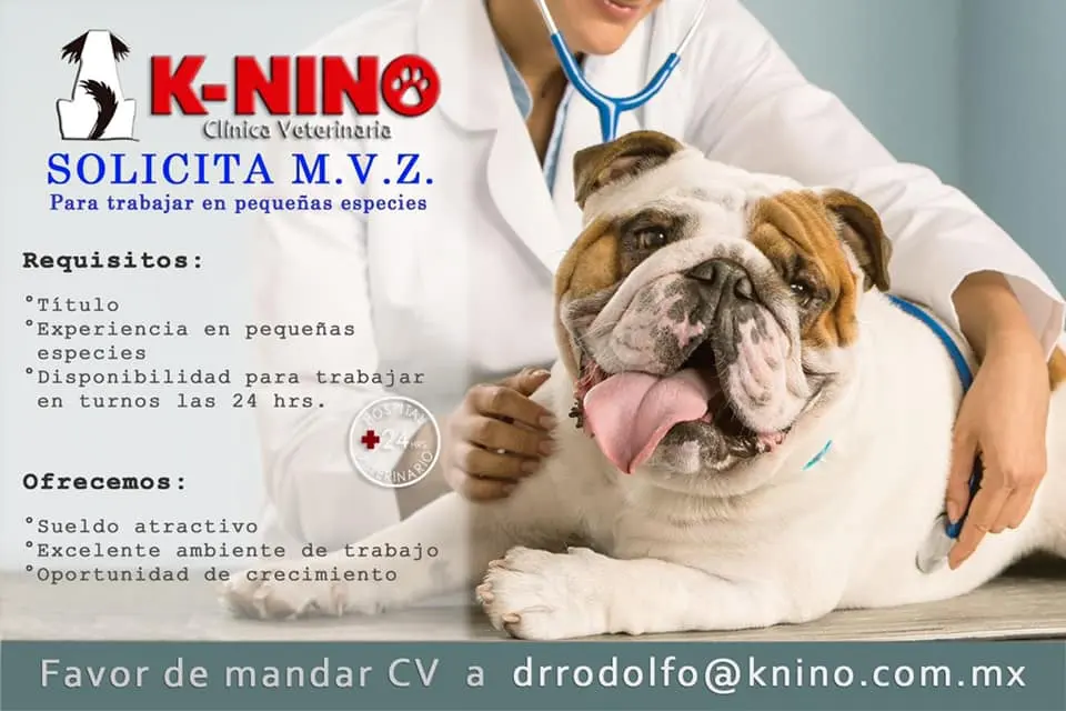 Clínica Veterinaria K-NINO — foto 4 de 4