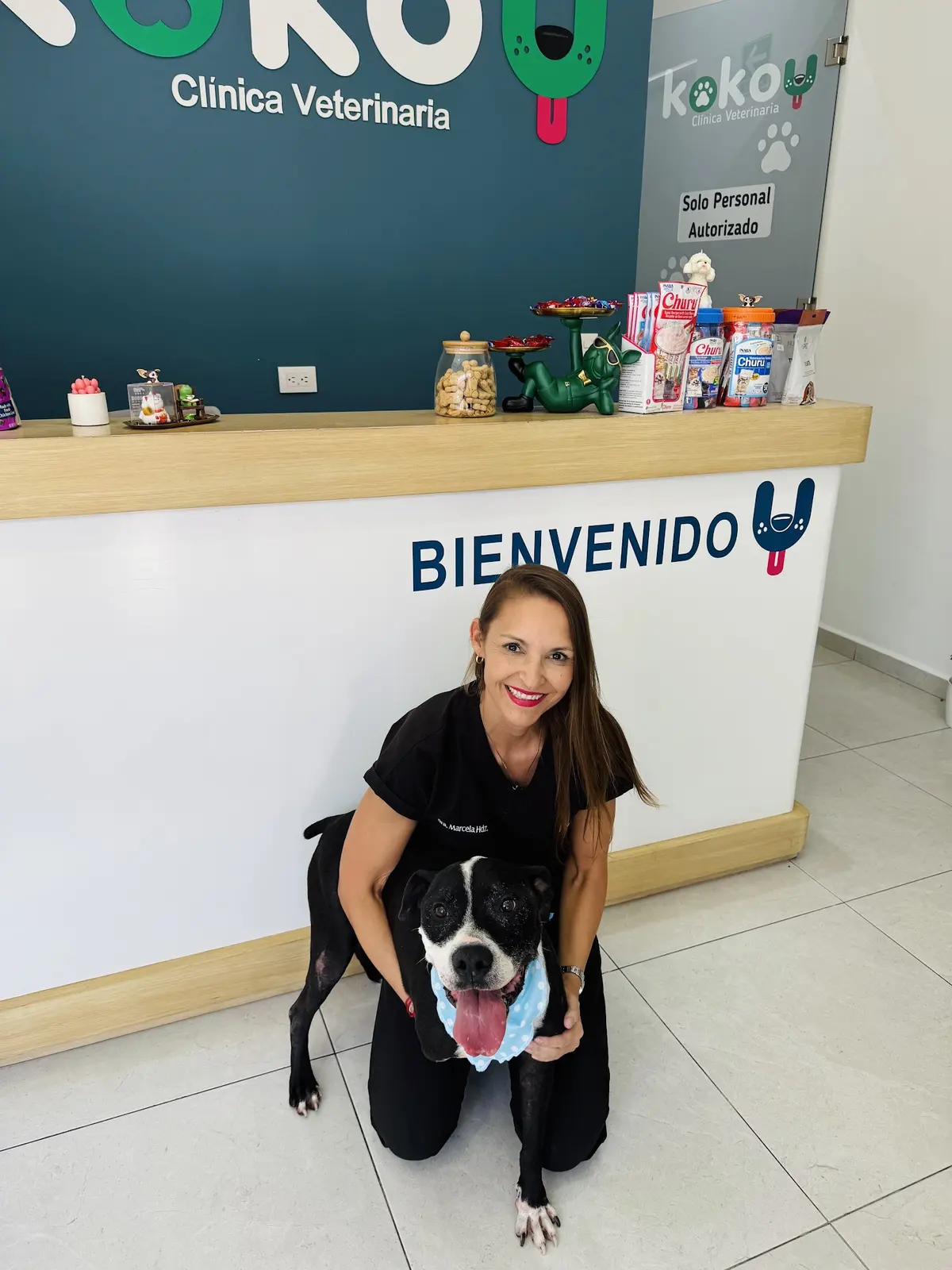Kokoy Clínica Veterinaria