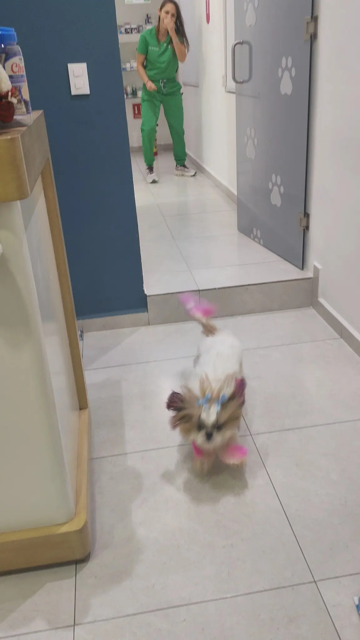 Kokoy Clínica Veterinaria — foto 2 de 3