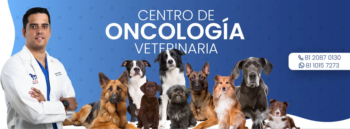 Oncólogo Veterinario en Monterrey - La Rioja Animal Hospital - Oncología Veterinaria | Oncólogo Veterinario