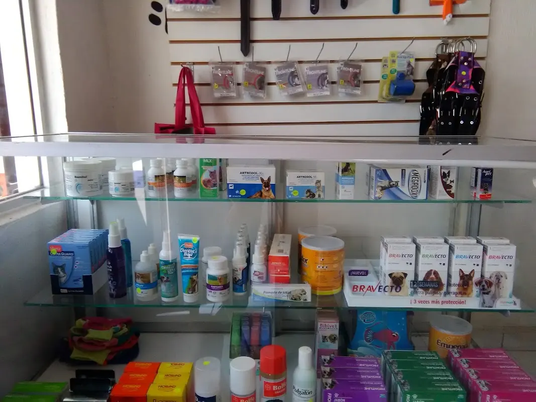 Calupoh Centro Veterinario