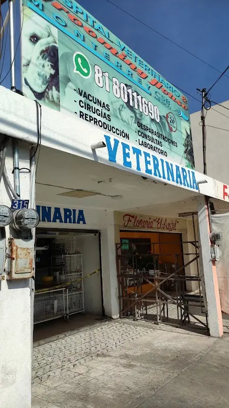 Clínica Veterinaria & Grooming House Mty