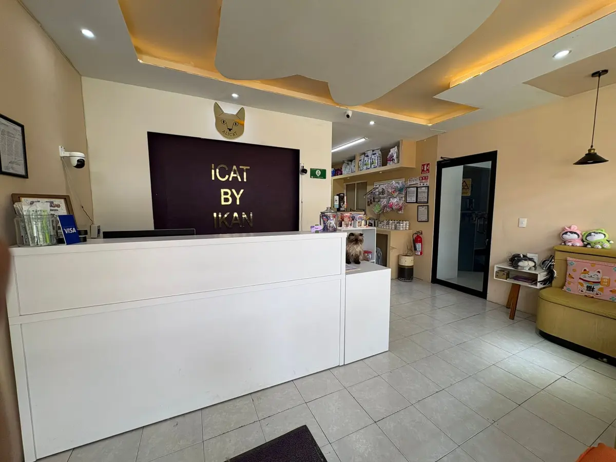 iCat Veterinaria - Especialista en Gatos — foto 3 de 3