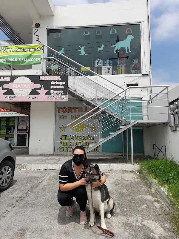 Lily Vet |Veterinaria|Pet Shop|Estetica