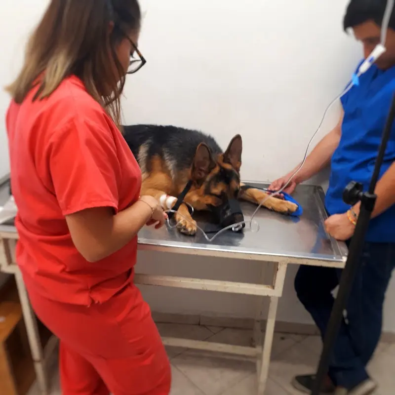 Veterinaria del Rosario