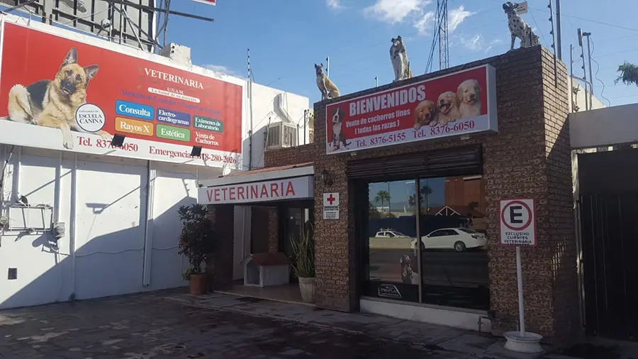 Veterinaria Dr. Rubén Villarreal Garza