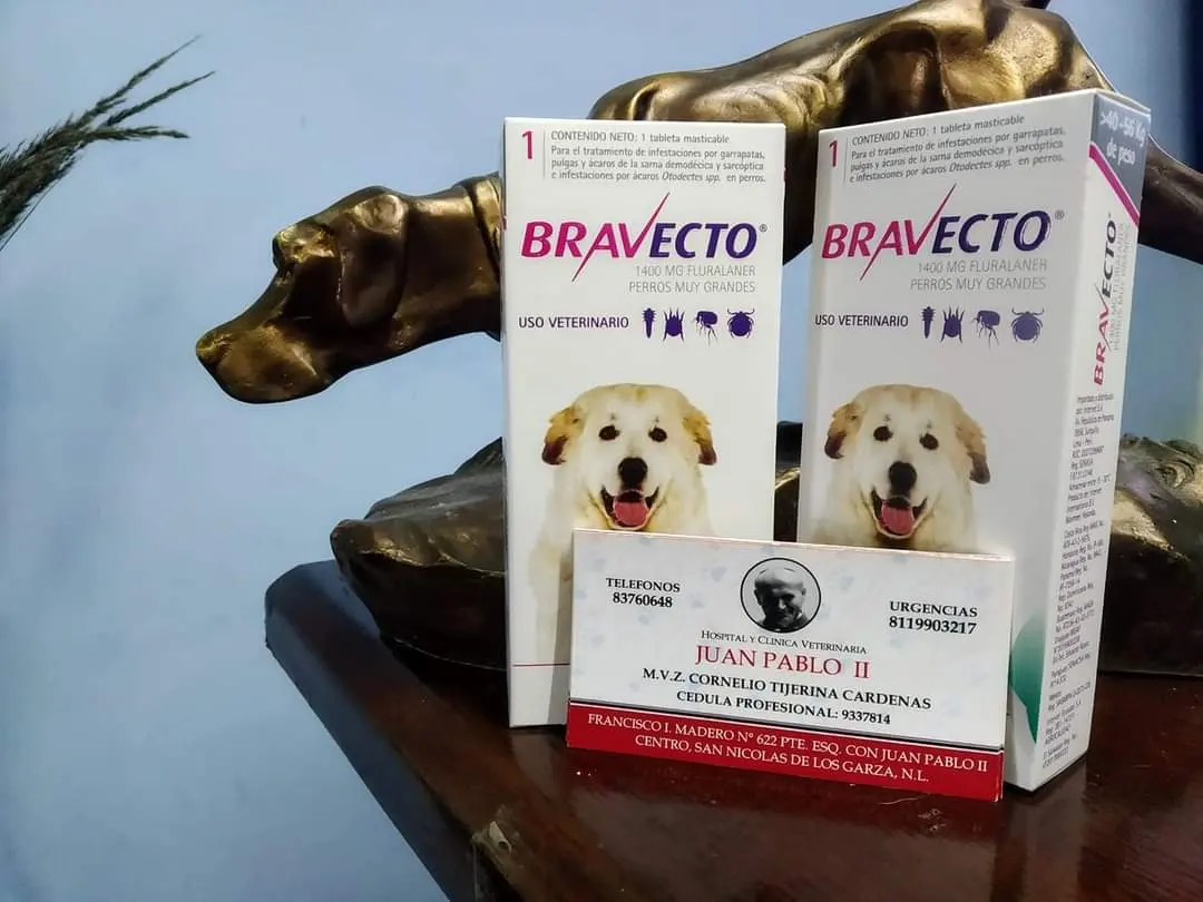 Veterinaria Juan Pablo II