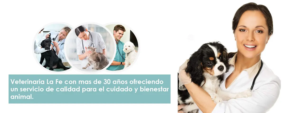 Veterinaria La Fe
