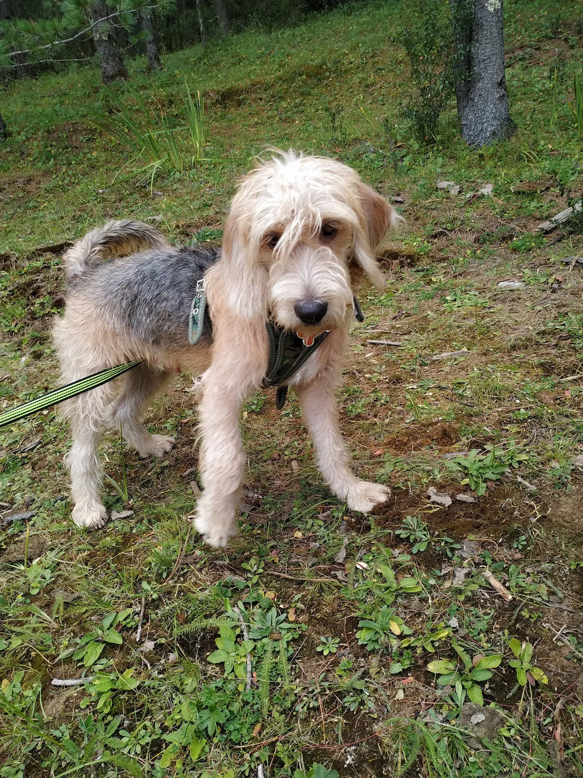 Clínica Veterinaria del Valle
